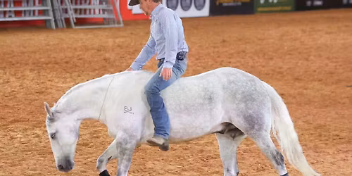 Knights Equestrian - Adelaide Liberty Clinic 2026
