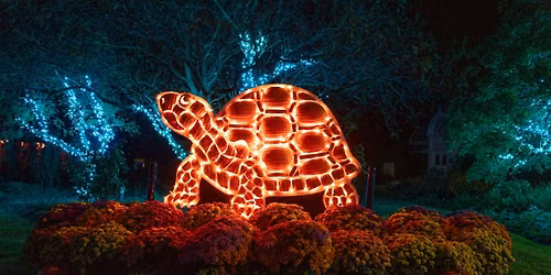 Harvest Fest presented by Superior Credit Union
