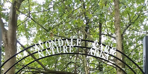 Avondale Park - Nature Wellbeing for Adults
