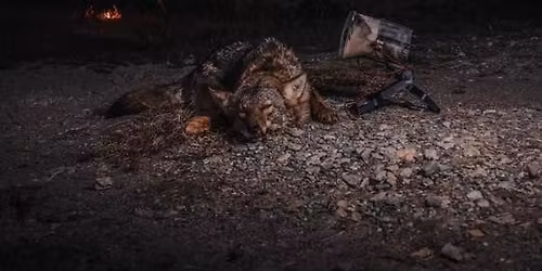 YOU-VIS \u201cKentucky State Seals Team\u201d Wildlife Management Group, Coyote Tournament