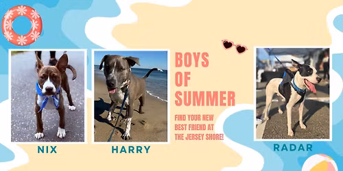 Paws Pet Boutique and Bakery Adoption Event