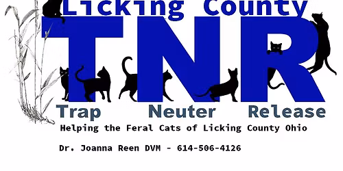 TNR orientation 