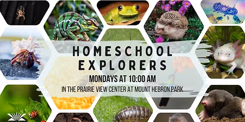 Homeschool Explorers