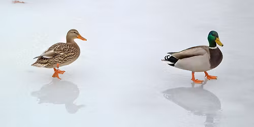 BLACK FRIDAY ESCAPE at Clinton State Park