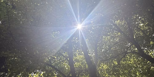 Calm in the Chaos: Mindfulness Strategies