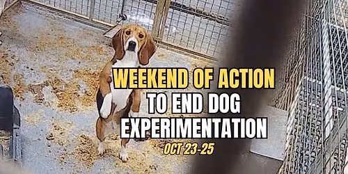 Weekend of Action to End Dog Experimentation
