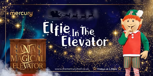 Elfie In The Elevator