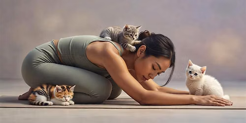 Cat Yoga