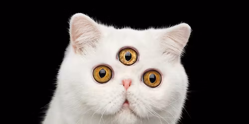 Weird Sh*t & Other Good Vibes by Sarah Liisa Wilkinson, Lucy Lill, Henry Everett