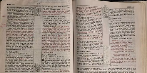 Springboro: Luke 6