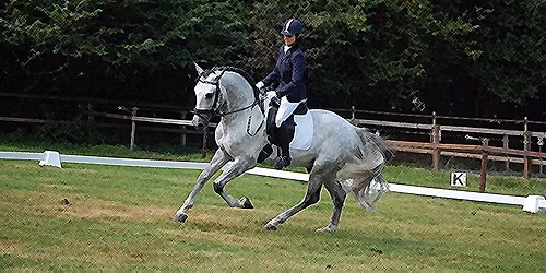 Barok en koudbloeden Woerden
