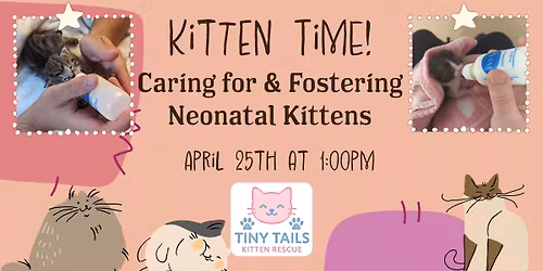 Kitten Time! - Caring For and Fostering Neonatal Kittens