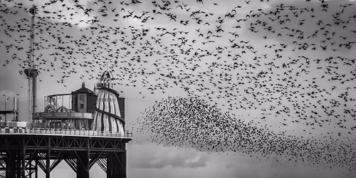 "My Passion for Photography" Talk by Will Cheung