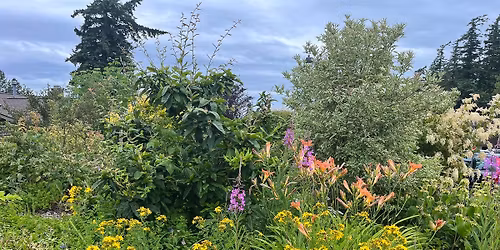 Intro to Perennial Vegetables Spring Class