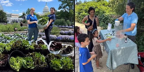Kitchen Garden Tasting Table (On-site Drop-in Program)