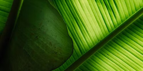 Nature Photography