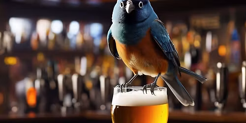 Sk\u00e5darpub p\u00e5 O\u2019Connor\u2019s