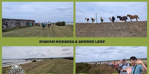 Higham Marshes and Shorne Loop