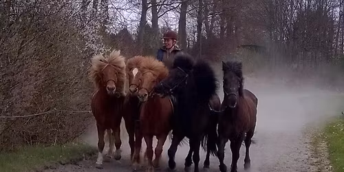 Introduktion til g\u00e6\u00f0ingakeppni med Line Kaae Hansen 