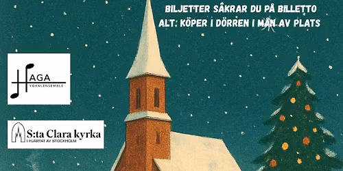 Julkonsert - Haga Vokalensemble
