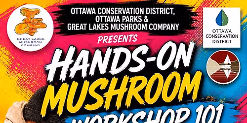 Hands-On Mushroom Workshop 101 Class