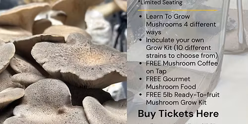 Hands-On Mushroom Workshop 101 Class