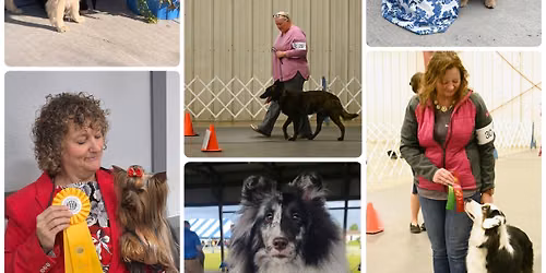 Kennel Club of Freeborn County Dog Show