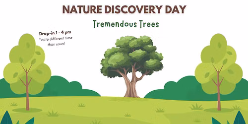 Nature Discovery Day - Tremendous Trees