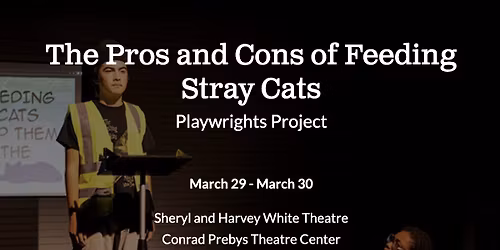 Parking Stray Cats