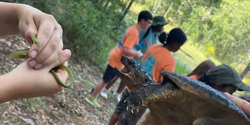 Middle School: Herpetology Summer Camp