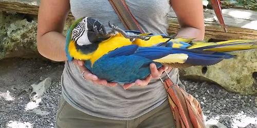 VetTechLife CE on the Sea 2026