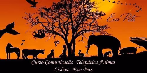 INTENSIVO Telepatia Animal LISBOA