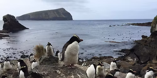 "Why Wild Places Really Matter: Protecting Nature and Our Climate"  Illustrated talk by Lou Sanson