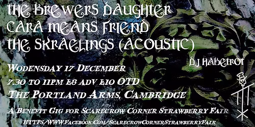 Winter Solstice Warmer with The Brewers Daughter, Cara Means Friend and The Skraekings (Acoustic)