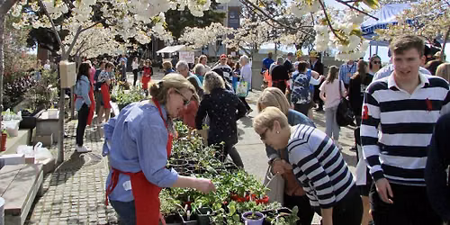 John McGlashan College Fete 2026