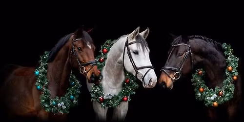 Colorado Hobby Holiday Gathering