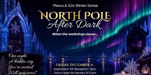 Winter Soiree: North Pole After Dark