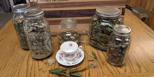 Tea for herbalists **FREE**