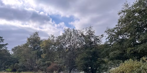 Pilgrimage of Soul - Early Spring