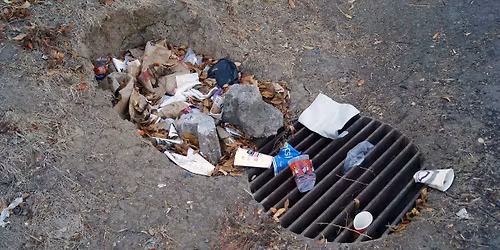 Neighborhood Cleanup: East Walnut Hills