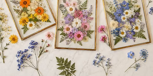 Forest in a Frame: Preserved Moss Art Workshop at Yuan Ru Gallery