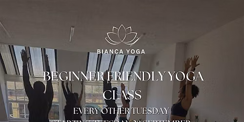 Beginner friendly yoga