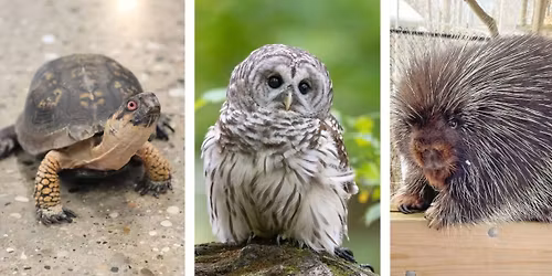 Thankful for Wildlife Day