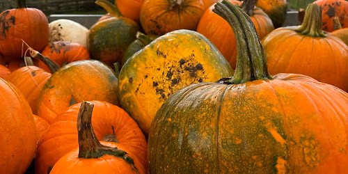 Halloween Themed Family Supper with Magical Entertainment