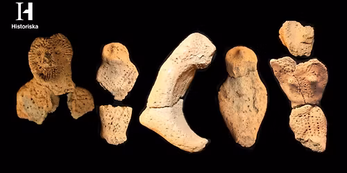 Tr\u00e5s\u00e4ttra och sten\u00e5ldersj\u00e4garnas underg\u00e5ng