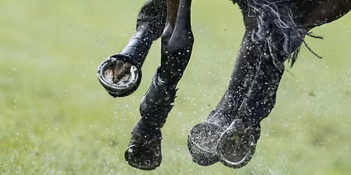 William Fox-Pitt Coaching Demo and Open afternoon