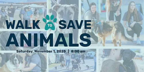 Aawl Walk to Save Animals 