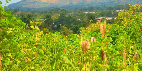 Ascension du Mont Mbapit