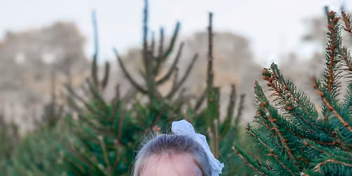 Tree Farm Mini Sessions