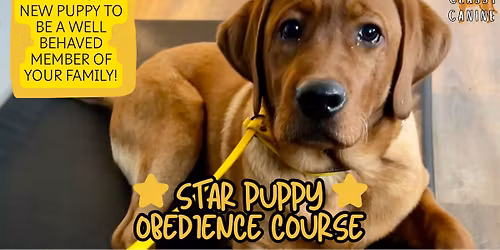 STAR Puppy Obedience Class